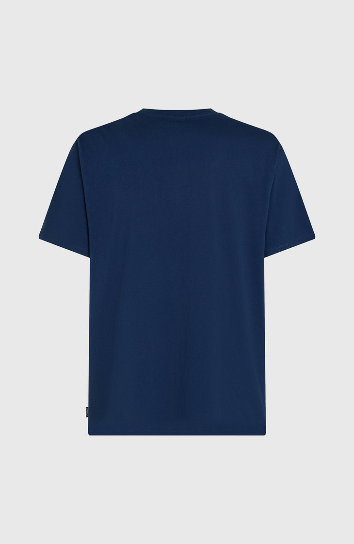 O'Neill Gradient T-shirt | English Evening