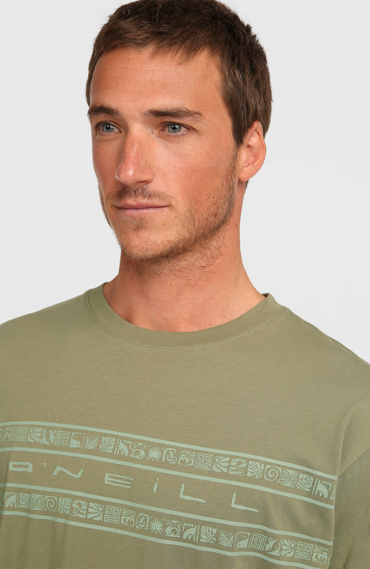 O'Neill Flower Stripe T-shirt | Avery Fern