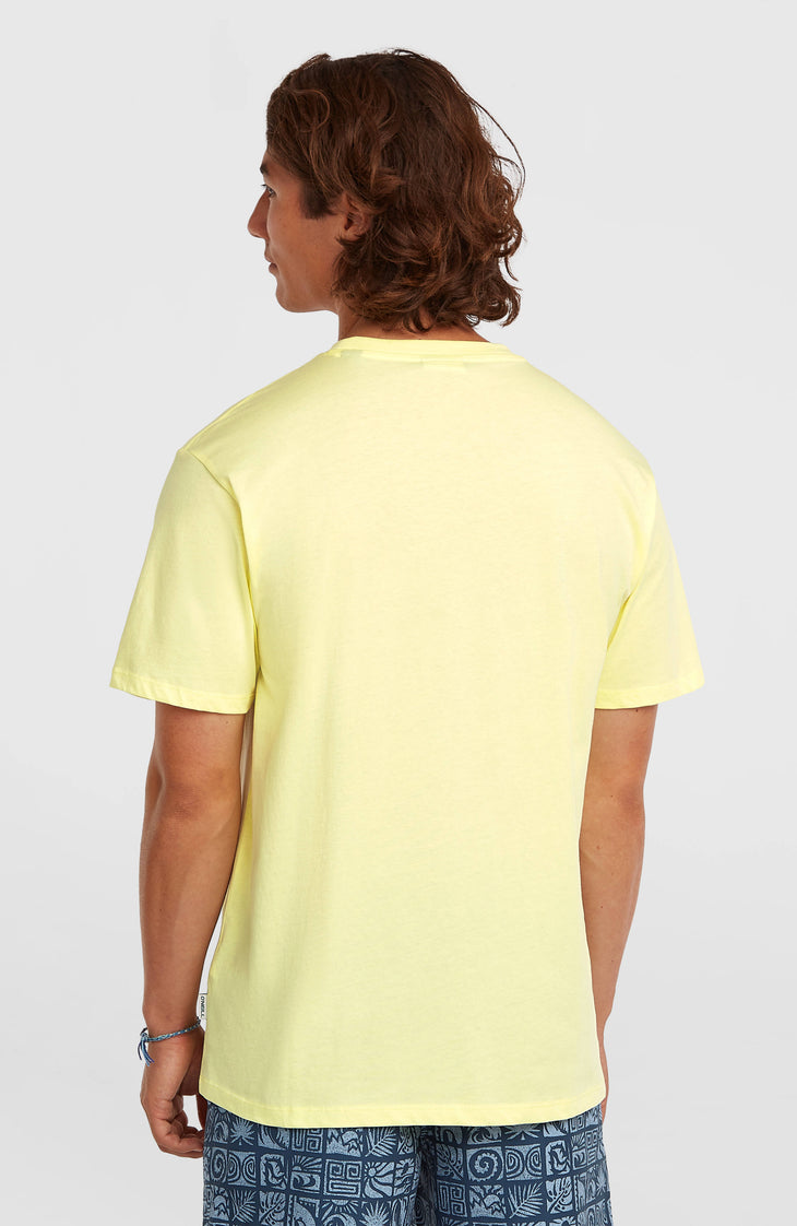 O'Neill Must-Have Graphic T-shirt | Rainforest Dew
