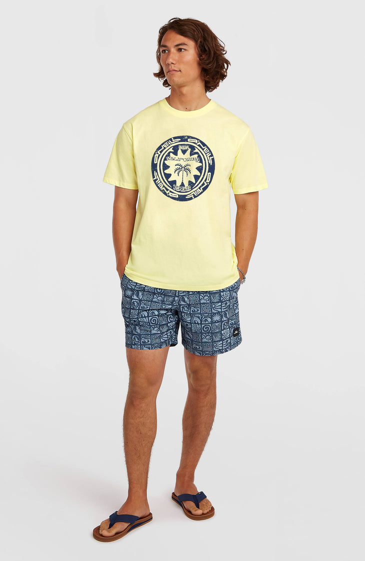 O'Neill Must-Have Graphic T-shirt | Rainforest Dew