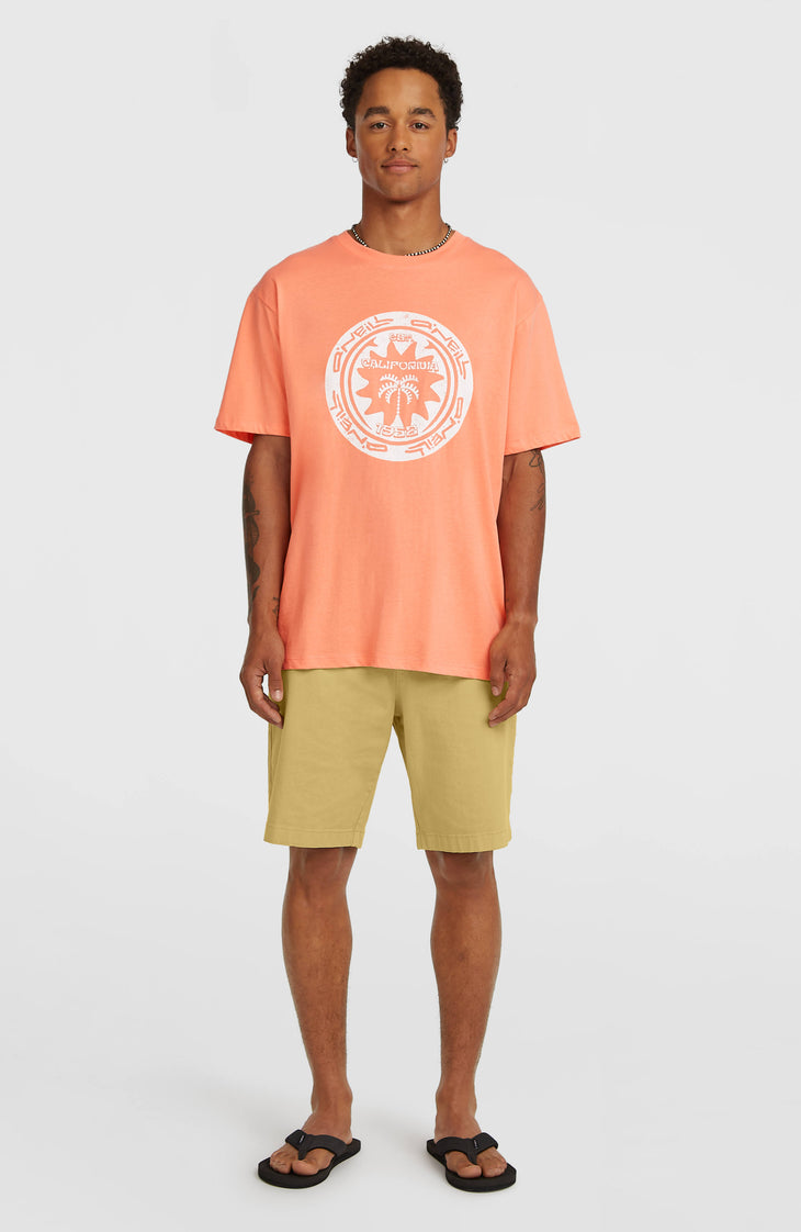 O'Neill Must-Have Graphic T-shirt | Funky Peach