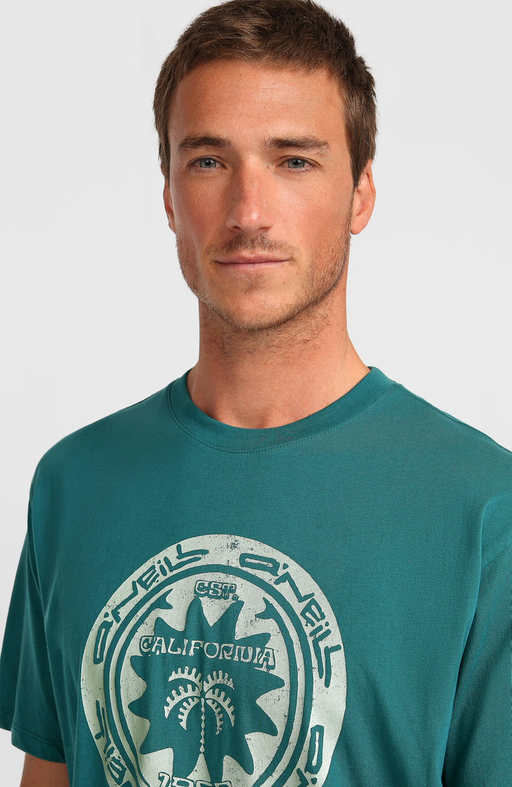 O'Neill Must-Have Graphic T-shirt | Botanical Heat