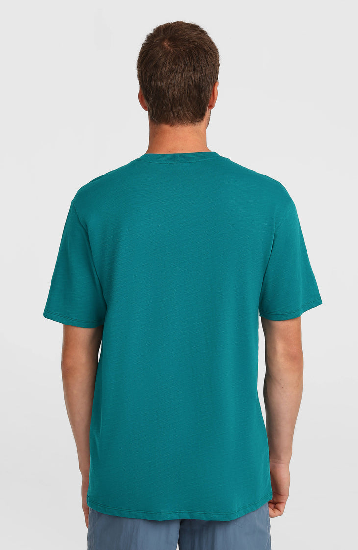 O'Neill Slub Chest Pocket T-shirt | Botanical Heat