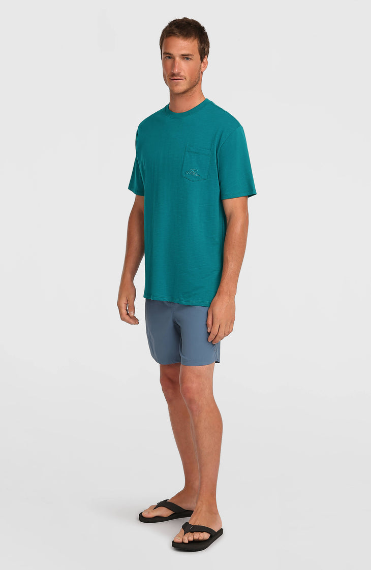 O'Neill Slub Chest Pocket T-shirt | Botanical Heat