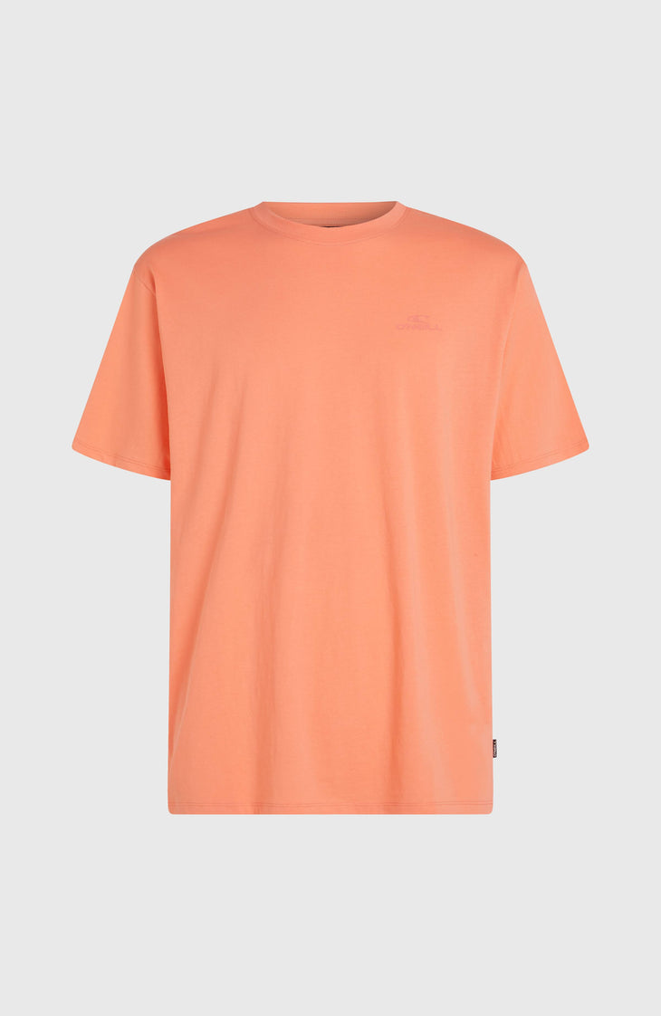 O'Neill Small Logo T-shirt | Funky Peach