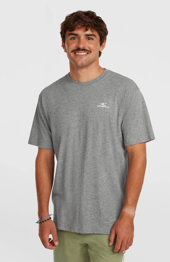 O'Neill Small Logo T-shirt | Silver Melee