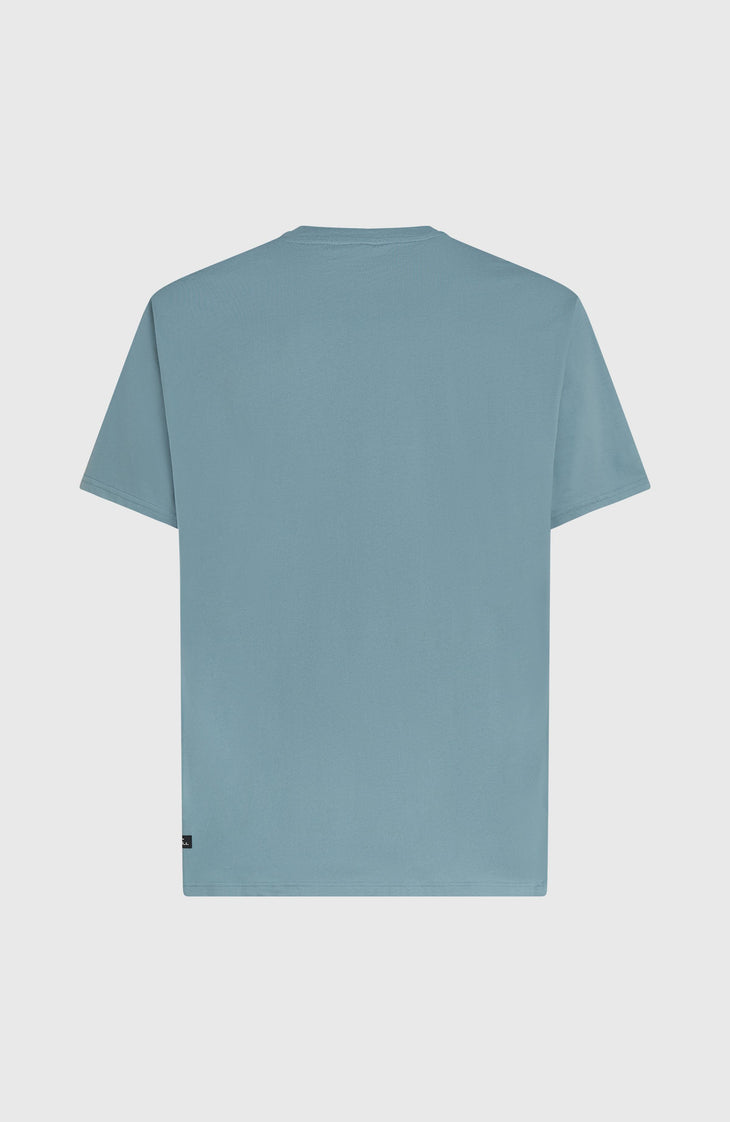 O'Neill Must-Have Graphic T-shirt | Murky Water