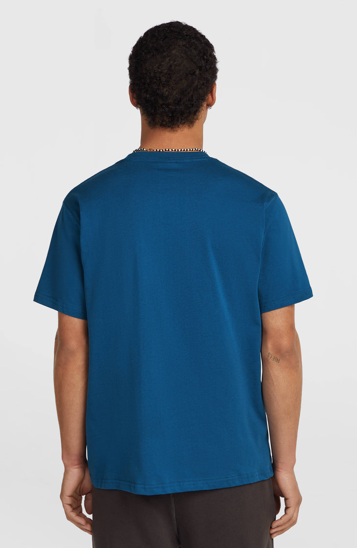 O'Neill Cali T-shirt | Regal Blue