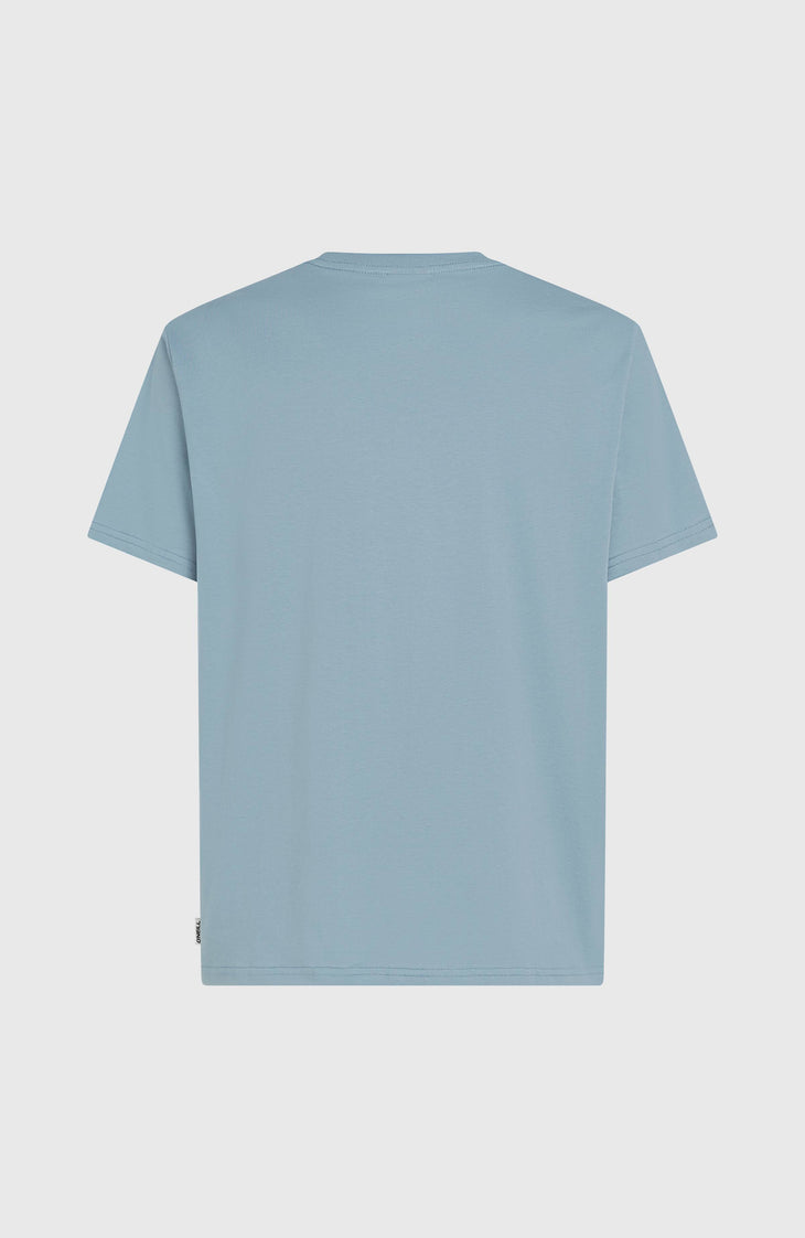 O'Neill Cali T-shirt | Murky Water
