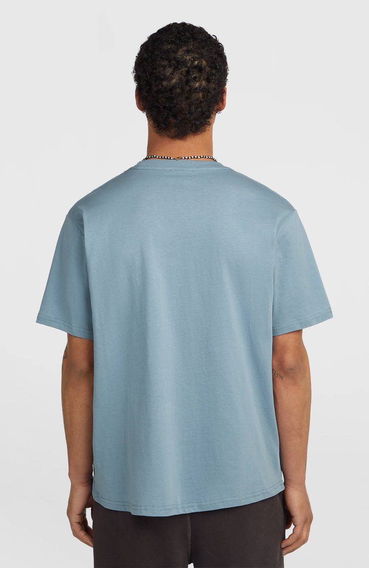 O'Neill Cali T-shirt | Murky Water