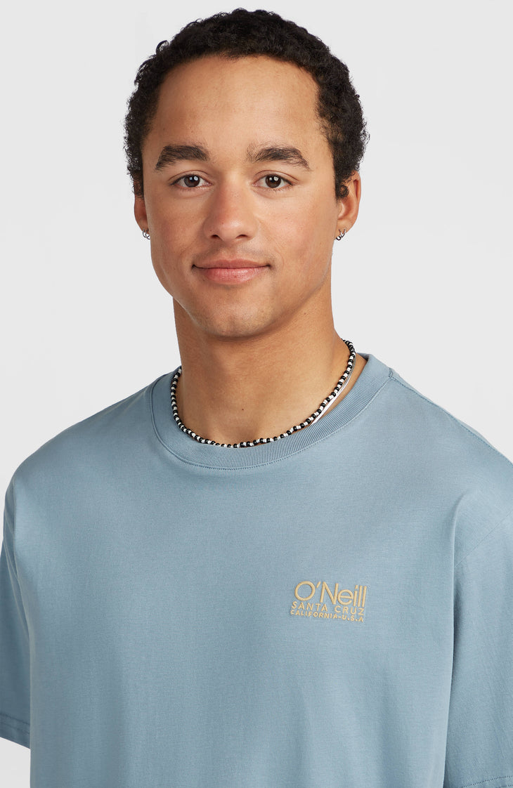 O'Neill Cali T-shirt | Murky Water