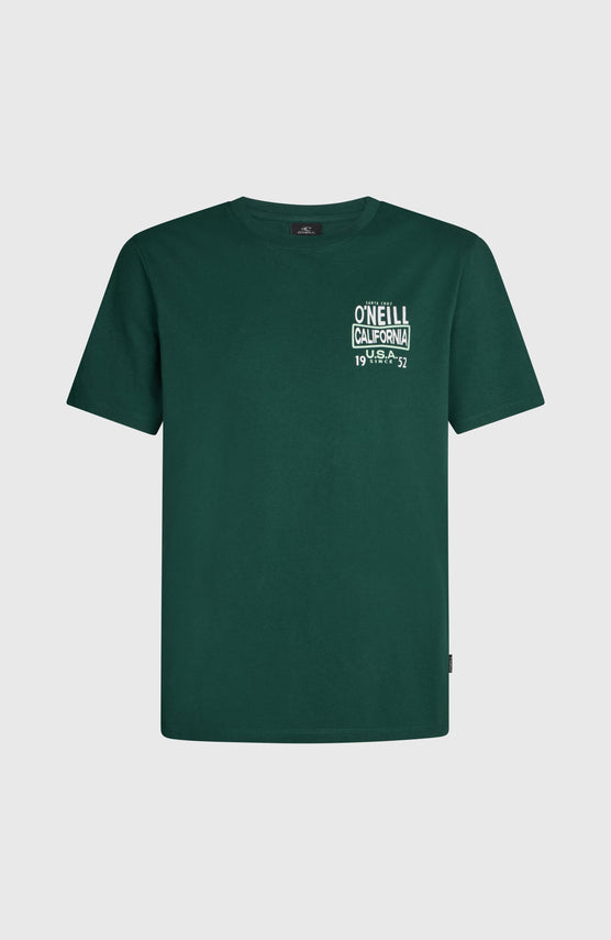 O'Neill Small Logo T-shirt | Emerald Envy