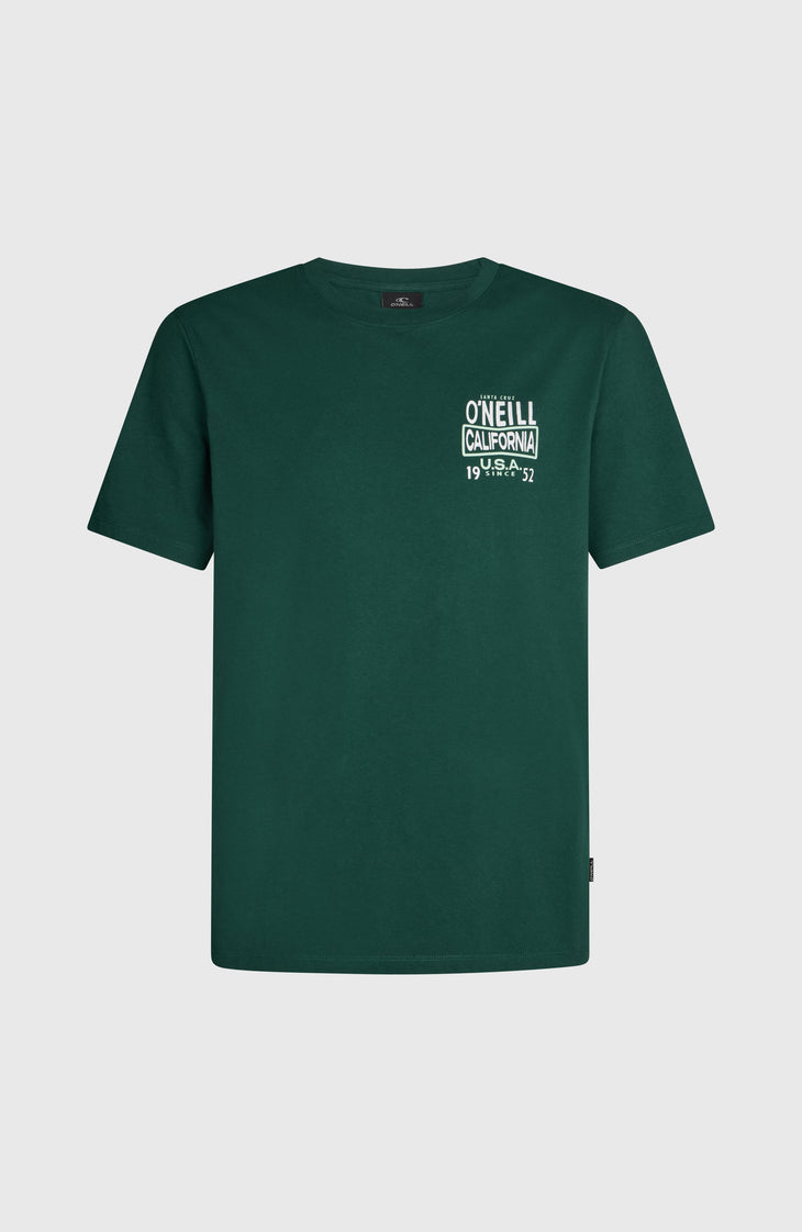 O'NEILL CALI T-SHIRT | Emerald Envy
