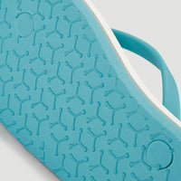 Profile Graphic slippers | Blue Rainbow Stripe