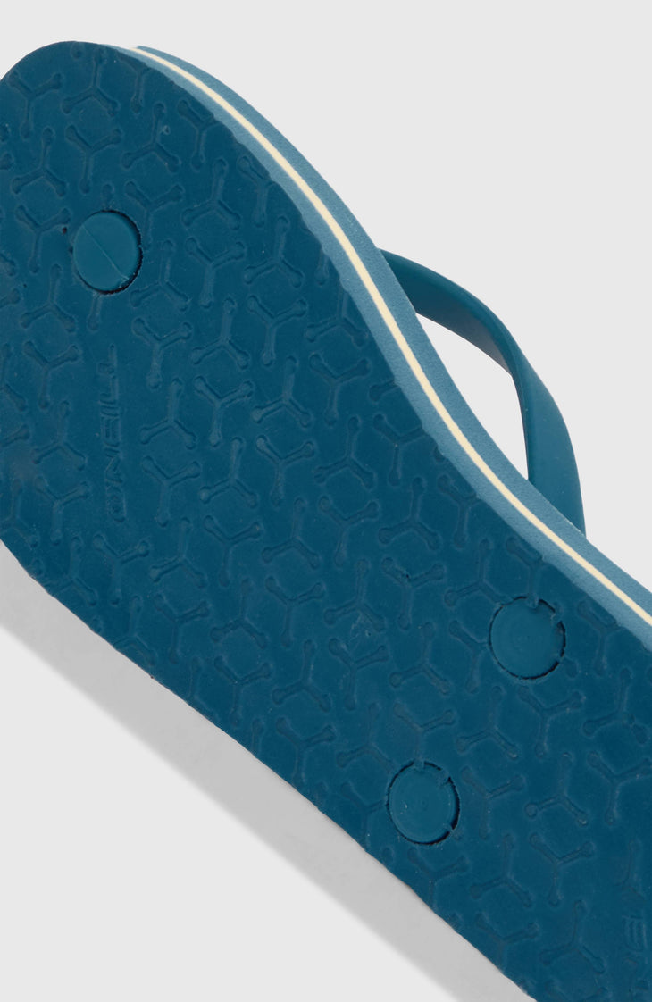 Profile Graphic slippers | Blue Santa Monica