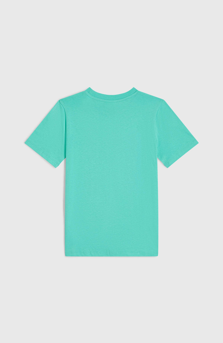 Front Graphic T-shirt | Surf City