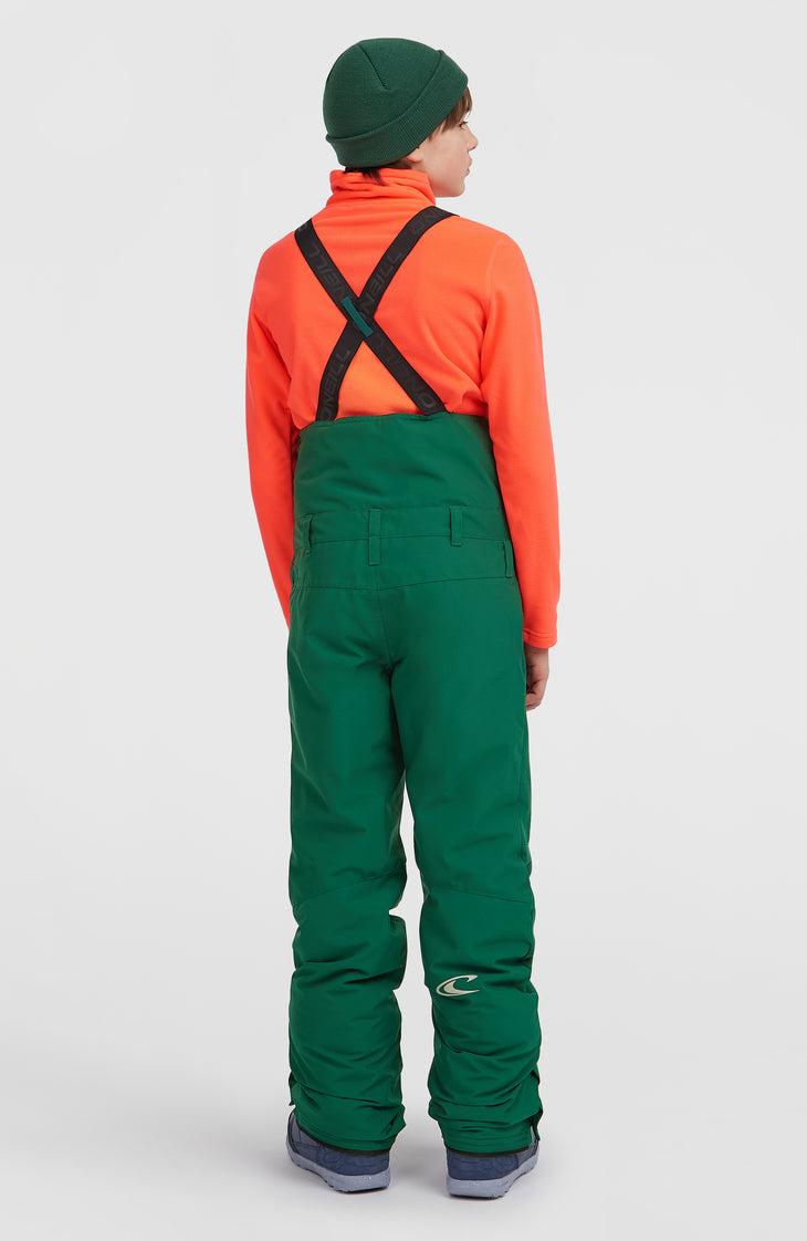 FWC'Cruz Bib wintersportbroek | Emerald Envy Colour Block