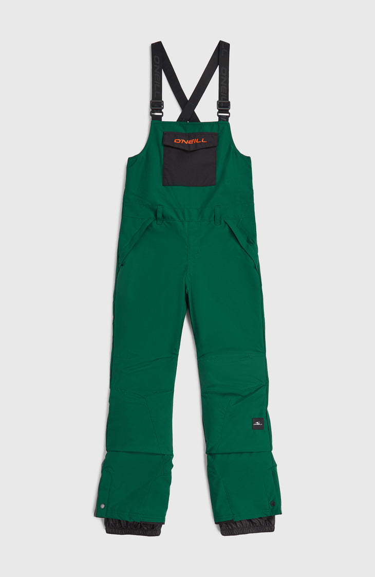 FWC'Cruz Bib wintersportbroek | Emerald Envy Colour Block