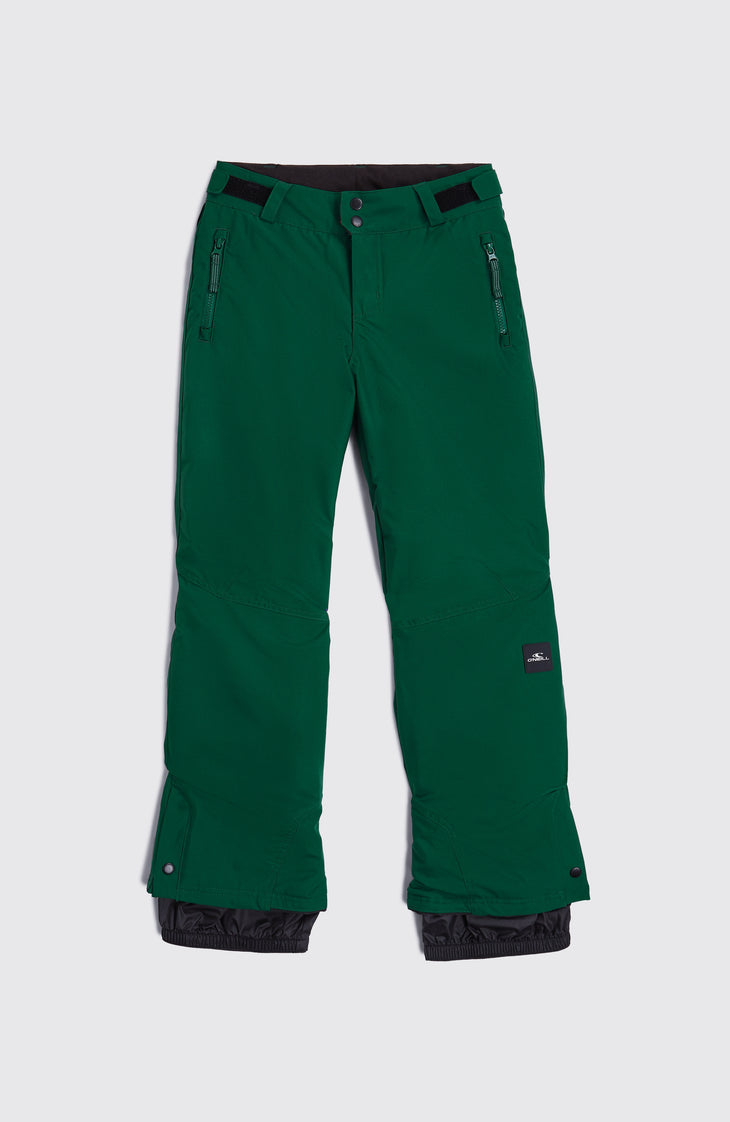 FWC'Cruz wintersportbroek | Emerald Envy
