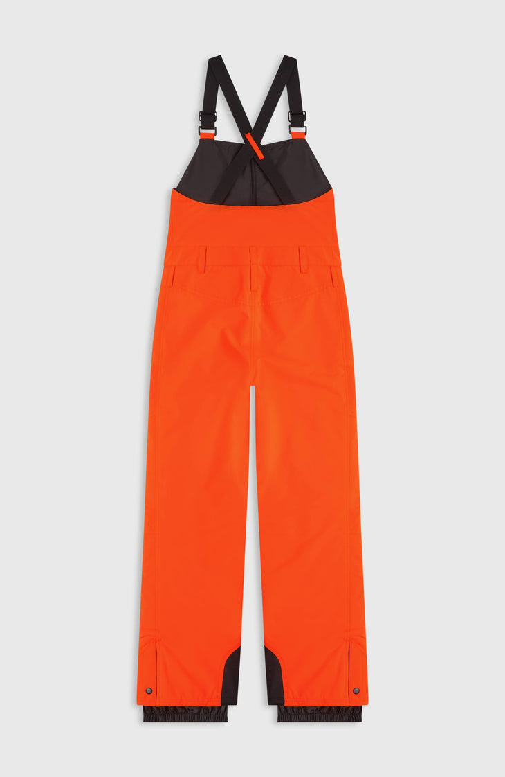 FWC'Cruz Bib wintersportbroek | Tokyo Lights