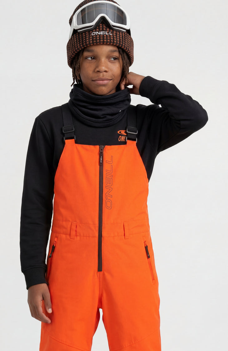 FWC'Cruz Bib wintersportbroek | Tokyo Lights