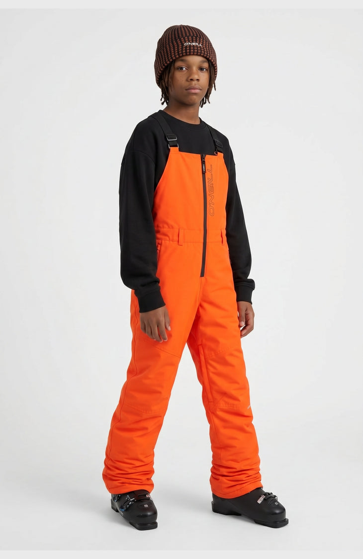 FWC'Cruz Bib wintersportbroek | Tokyo Lights