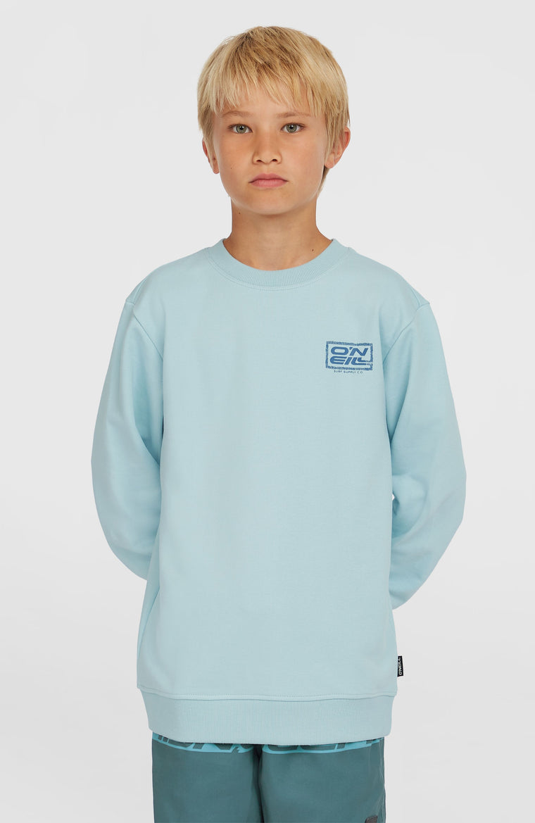 Logo Crew sweater | Morning Glory Logo Crew sweater | Morning Glory