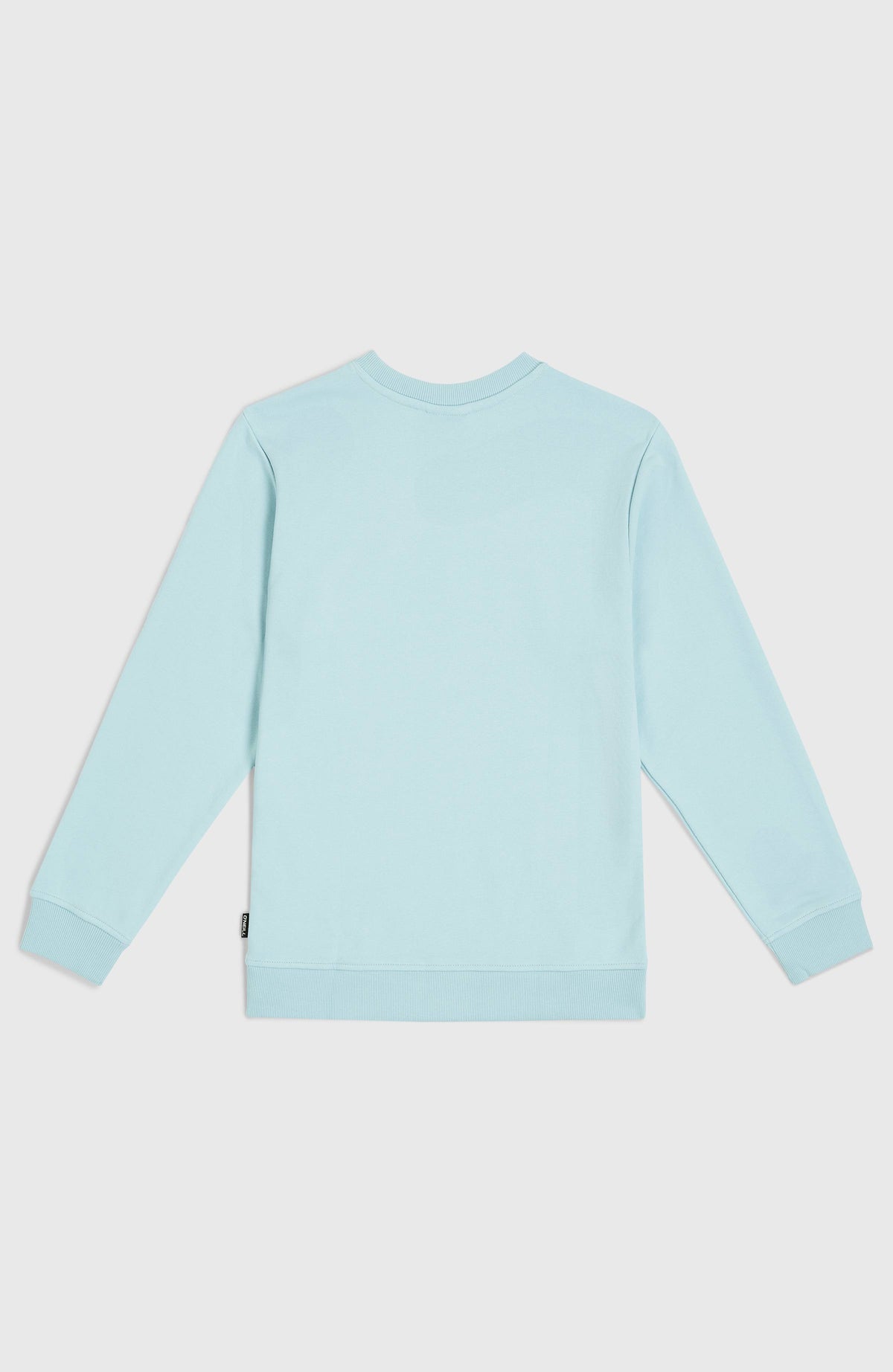 Logo Crew sweater | Morning Glory