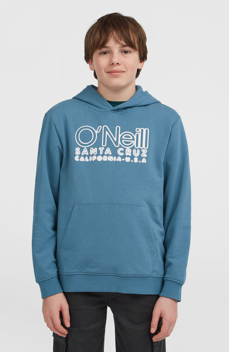 Essentials hoodie | Mozart Blue Essentials hoodie | Mozart Blue