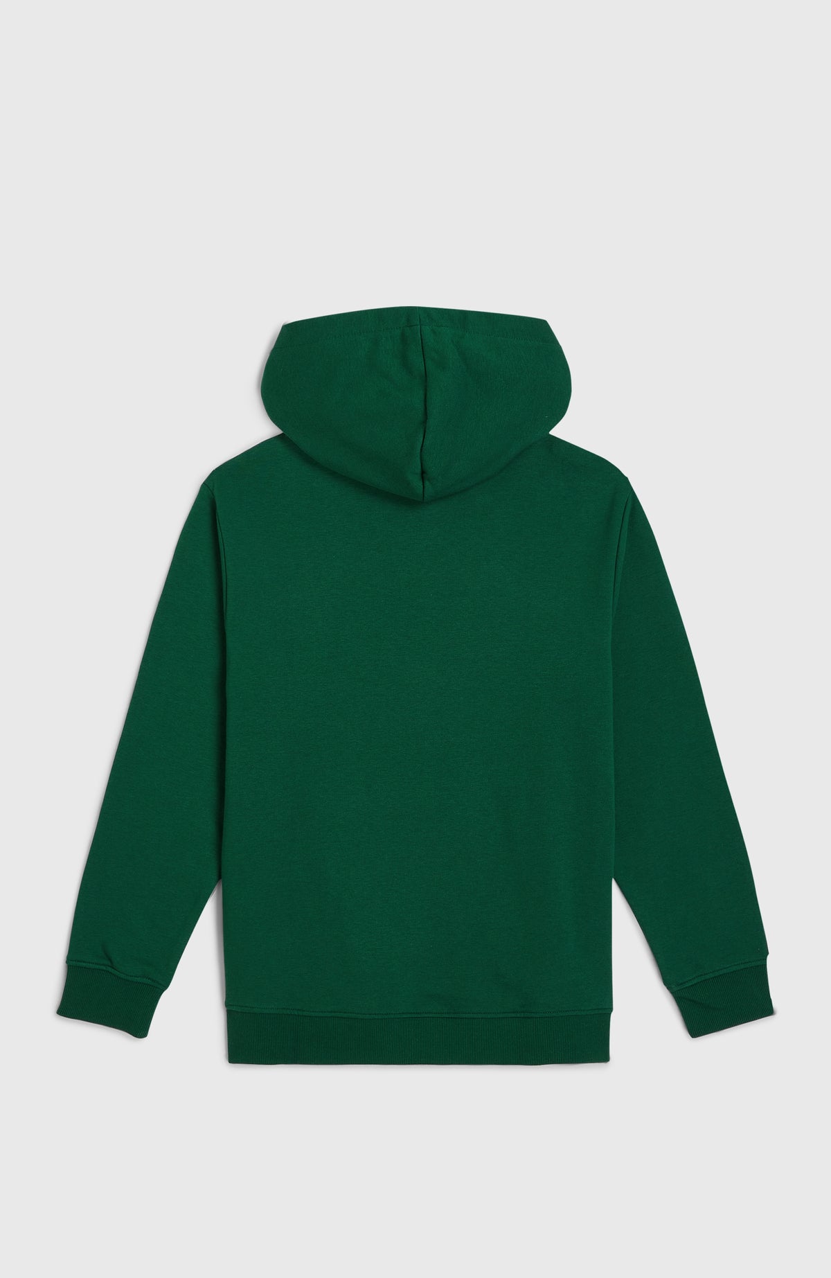 Essentials hoodie | Emerald Envy