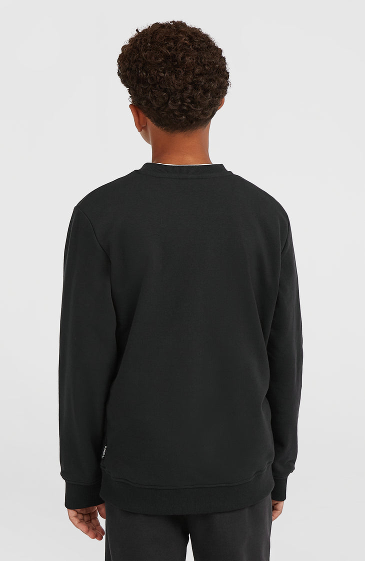 Essentials Crew sweater | Black Out