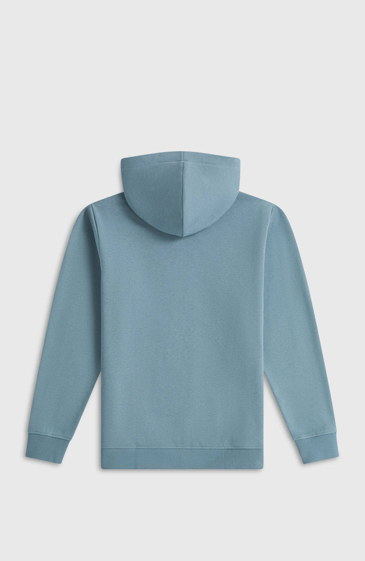 Essentials hoodie | Murky Water