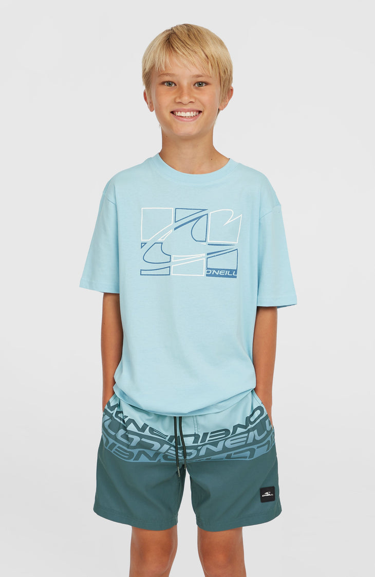 Cali Stripe 14'' zwembroek | Blue Upside Down