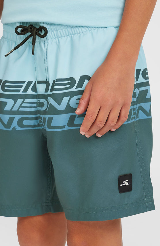 Cali Stripe 14'' zwembroek | Blue Upside Down