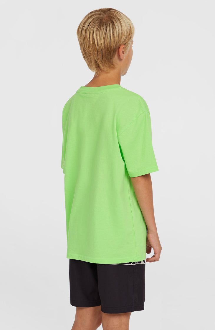 Cali Stripe 14'' zwembroek | Green Upside Down