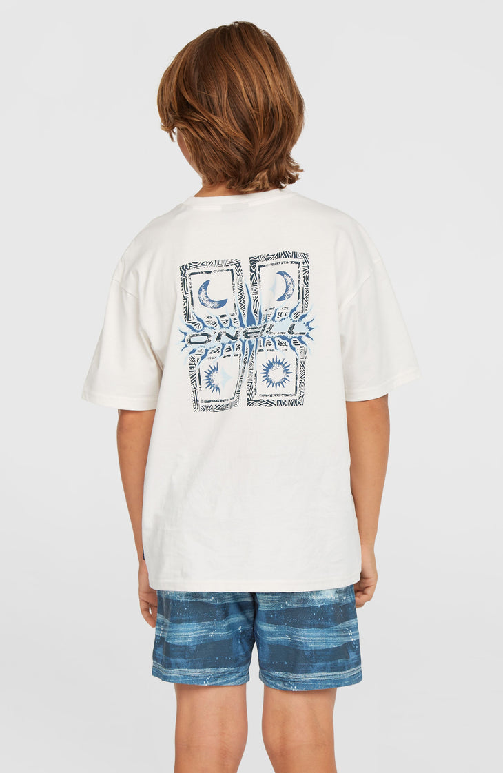 Cali Gradient 14'' zwembroek | Blue Melted Stripe Boys