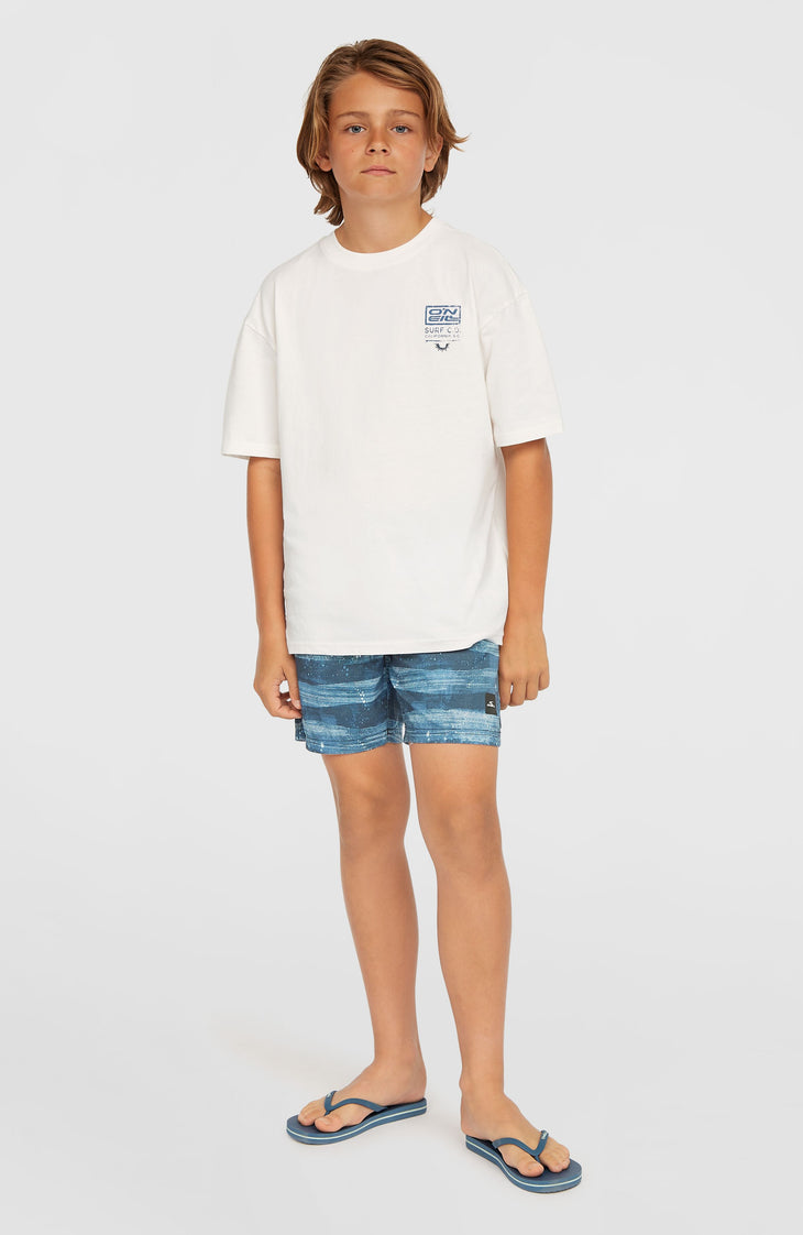 Cali Gradient 14'' zwembroek | Blue Melted Stripe Boys