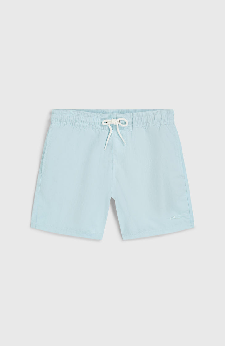 Vert 14'' zwembroek | Morning Glory