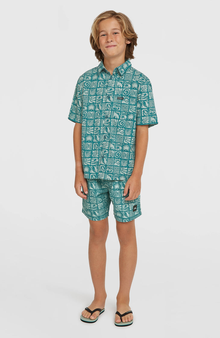 O'Neill Print zwembroek | Blue Bricks