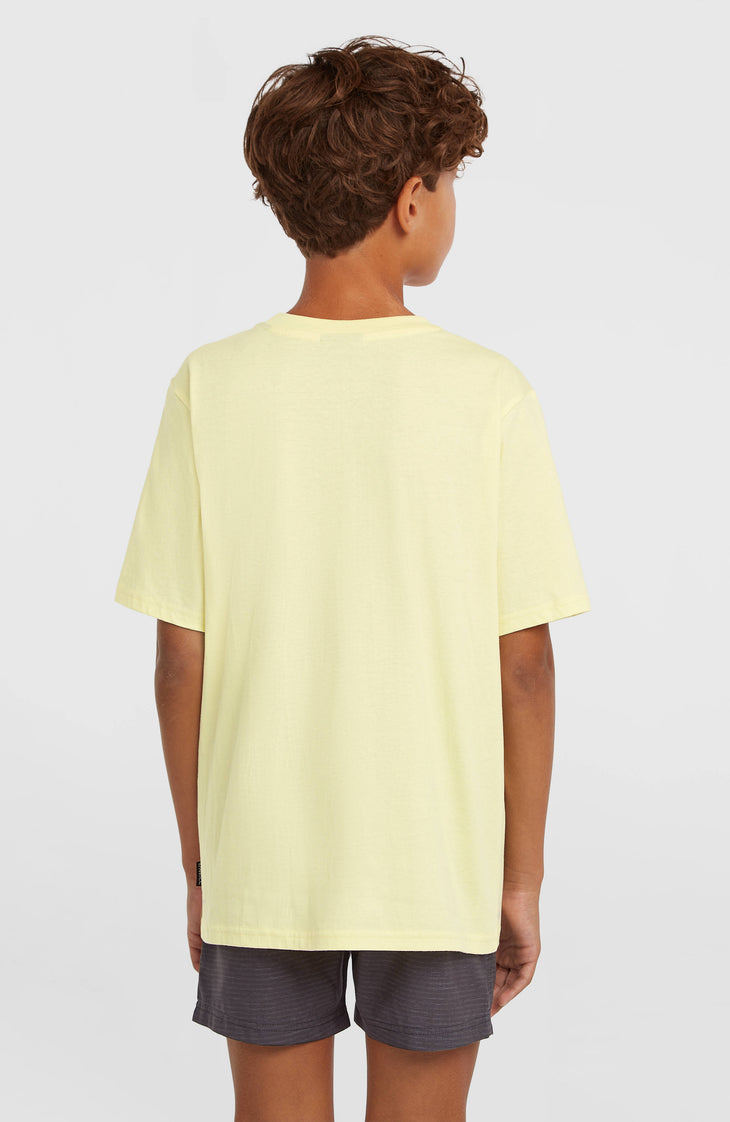 O'Neill Logo Stripe zwembroek | Boys Blue Heritage O'Neill