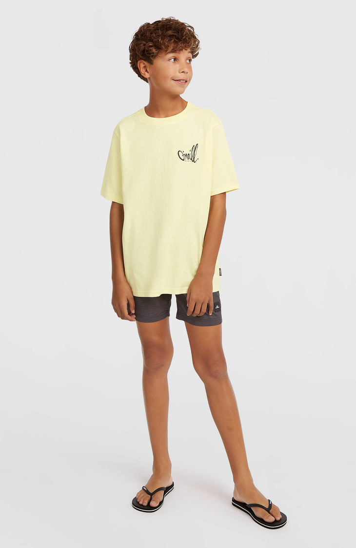 O'Neill Logo Stripe zwembroek | Boys Blue Heritage O'Neill
