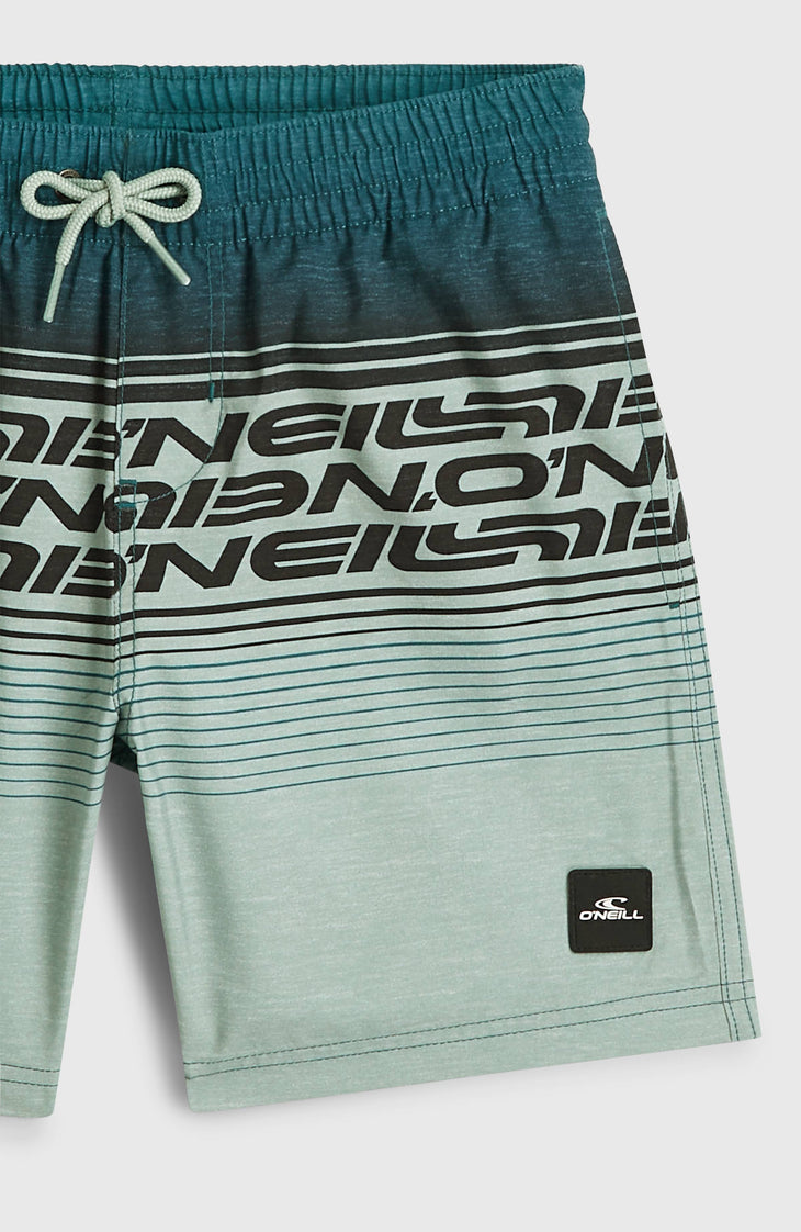 O'Neill Logo Stripe zwembroek | Boys Green Heritage O'Neill
