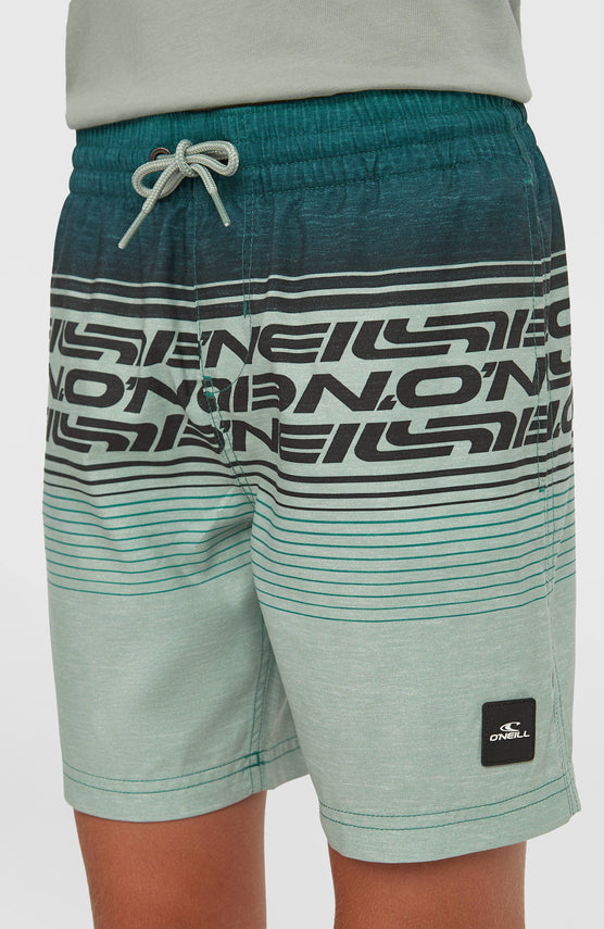 O'Neill Logo Stripe zwembroek | Boys Green Heritage O'Neill