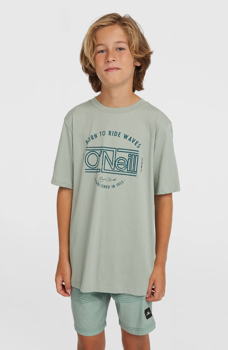 O'Neill Logo Stripe zwembroek | Boys Green Heritage O'Neill