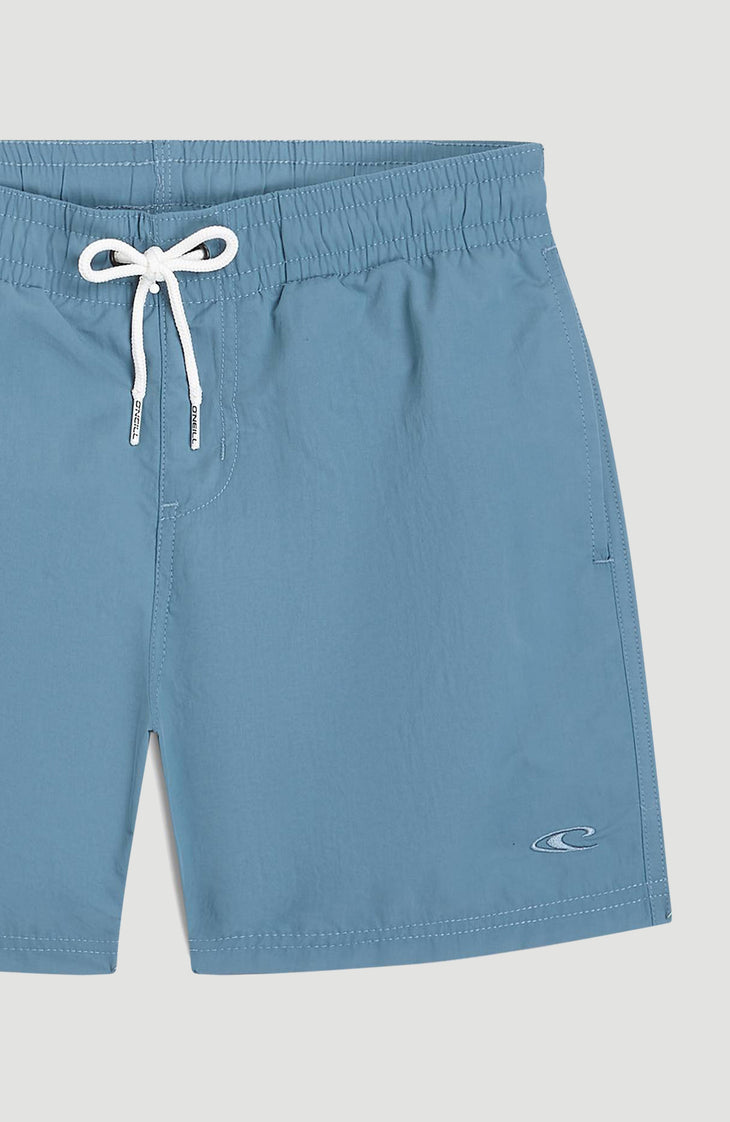 O'Neill Vert zwembroek | Copen Blue