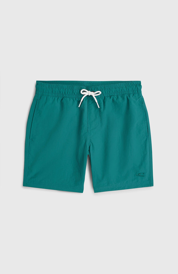 O'Neill Vert zwembroek | Botanical Heat