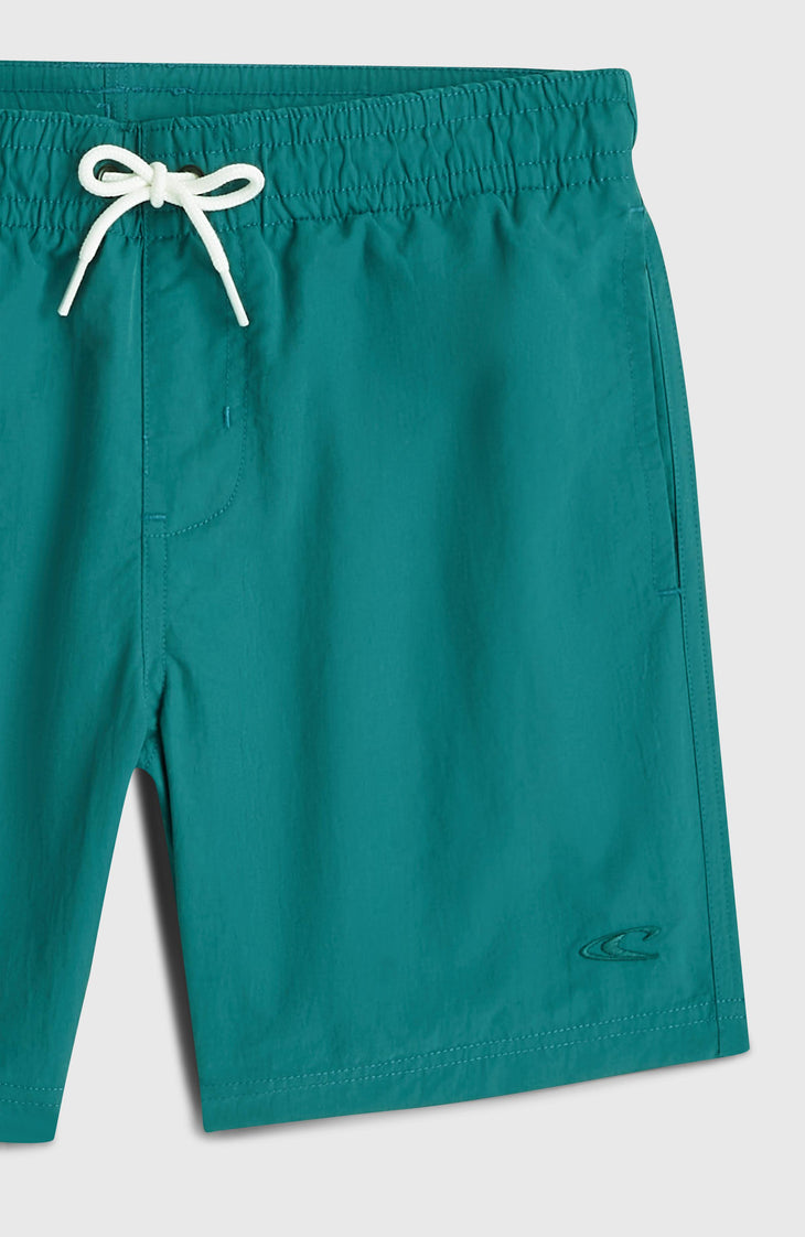 O'Neill Vert zwembroek | Botanical Heat