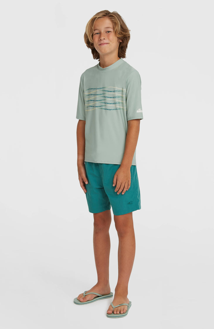 O'Neill Vert zwembroek | Botanical Heat