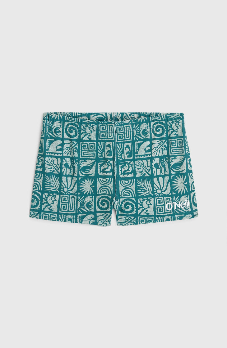 O'Neill Print Zwemboxer | Blue Bricks