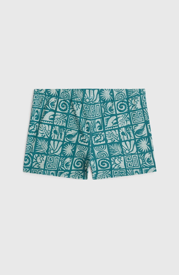 O'Neill Print Zwemboxer | Blue Bricks